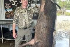 Archery-Hog-Hunt