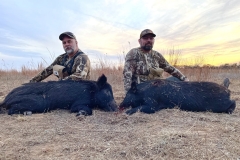 cheap rated wild boar hunting in texas