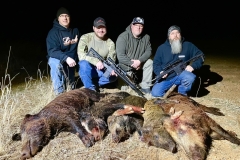best wild boar hunting in texas
