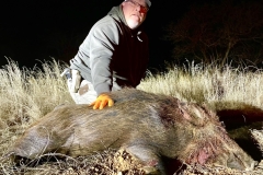 wild boar hunting in texas