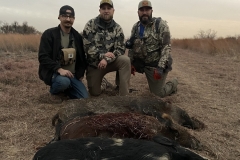 affordable wild boar hunting in texas