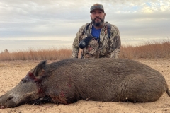 best wild boar hunting in texas