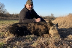 affordable west texas hog hunting