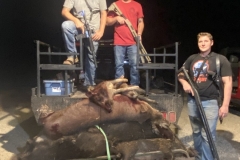 Top Rated Texas Hog Hunting
