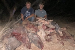 cheap wild boar hunting in texas