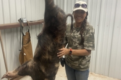affordable wild boar hunting in texas