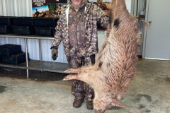 Texas-Hog-Hunt