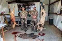 Texas-Hog-Hunting