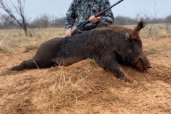 The-Best-Hog-Hunting-Outfitter-in-Texas