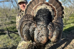 turkey-hunting-texas