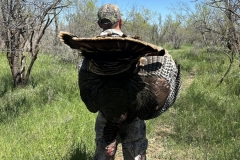 turkey-hunts-in-texas