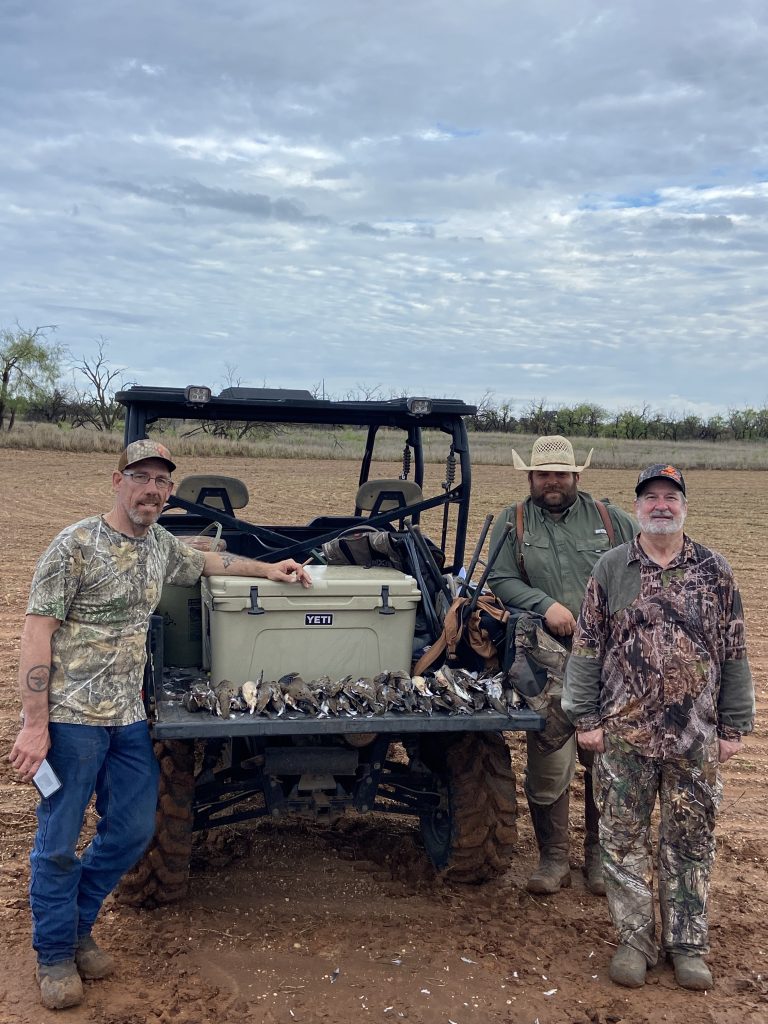 best dove hunt in texas