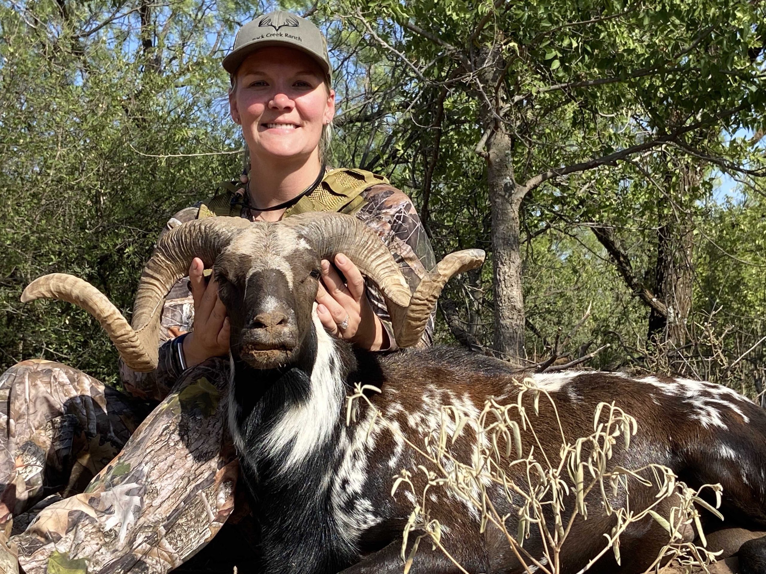 Hunting Ram in Texas