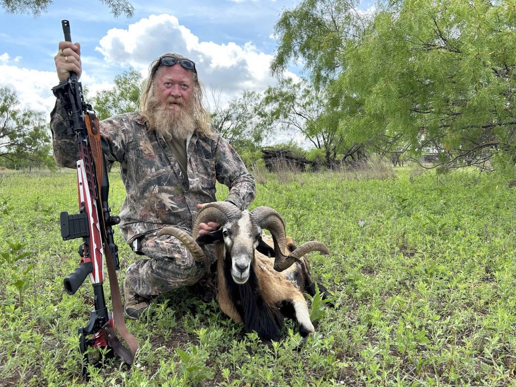 Ram Hunting in Texas