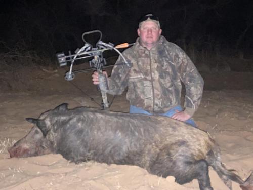 best hog hunting in texas