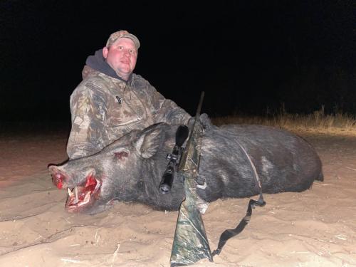 hog hunting in texas