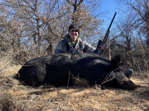 top rated west texas hog hunting