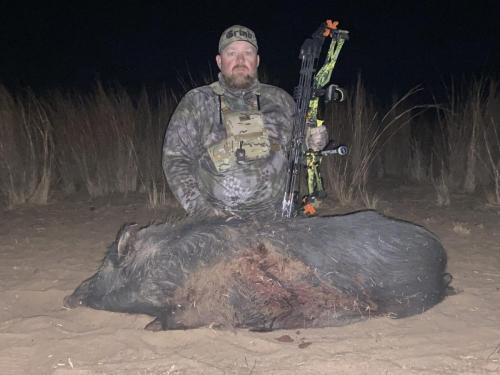 west texas hog hunting