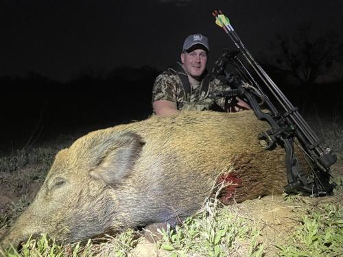 best Texas Hog Hunting