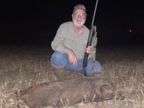 Texas Hog Hunting