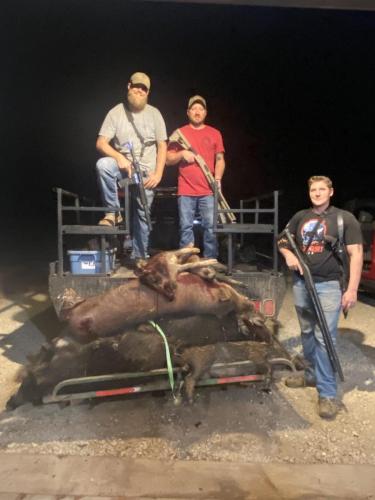 best wild boar hunting in texas