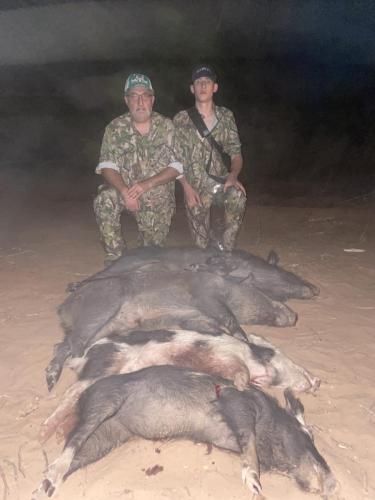 wild boar hunting in texas