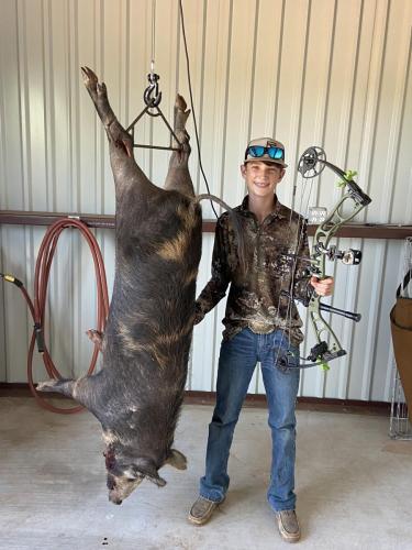 top rated texas hog hunting outfitters
