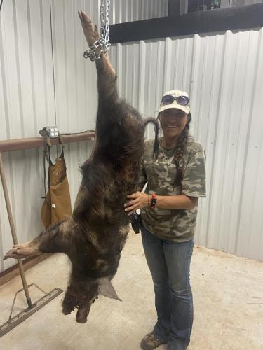 top rated texas hog hunting ranches