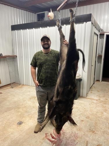 texas hog hunting ranches