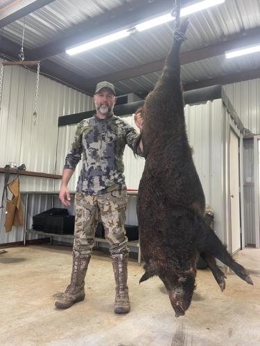 best texas hog hunting outfitters